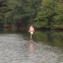 한남동카페거리 이미지