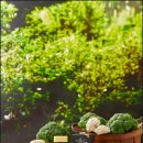 온누리헬스케어 이미지