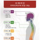 나만의테라피 이미지