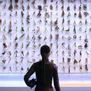 [화정창조의아침, 화정미술학원] 디자인기획전 《사물학-디자인과 예술》