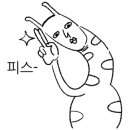 광주세정로가디스