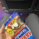 소악 사랑의 민박 | [신안 증도] 엄마랑 12사도 성지 순례길, 기점-소악도