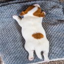 셀프25시 이미지