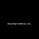 버드들 이미지