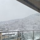 카세리오 | 가평독채펜션 &#39;카세리오&#39; 메누하빌 74평(방3욕실3)단체여행 개별테라스 바베큐파티 솔직후기
