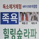 힐링라파