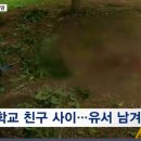 브니엘예술고등학교 이미지