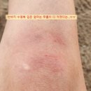에이치비차앤우 | 발리 꾸따 서핑 초보 강습 추천 대디앤맘 가격 준비물 내돈내산 후기