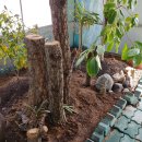 자연부화장 이미지