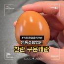 찬란 훈제란 구운계란 맥반석계란 추천 내돈내산