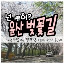 윤산로 이미지