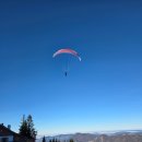 코끼리 카서비스 | 잘츠캄머구트 볼프강 유람선&amp;케이블카 선택관광 후기- 장크트 길겐 모차르트 누나 난넬 카페에서 점심식사