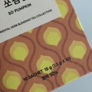 티쏘굳