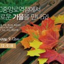 크로커다일레이디대전 이미지