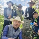 제367차 月芳山(360m) 9.17(木) 木曜山行 이미지