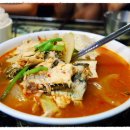 메이즈뮤지움 이미지