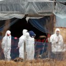 큰오리농장1 이미지