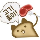 춘천꼬꼬닭갈비 이미지