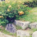 비금속물질 채취  제조  가공업 이미지