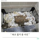 좋은하루2차 | 🛁낡고 금 간 욕조, 이젠 안녕! 정관 롯데2차 욕실의 드라마틱한 대변신 후기✨