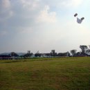 회산백련지 잔디광장 이미지