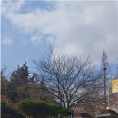 백구파출소 전라일보