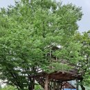 농부네 텃밭 민박 이미지