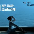 경주 감포트라제 풀빌라 | 가성비 오션뷰 펜션