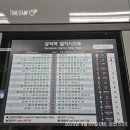 오케이안경마트 | 2025년 9월9일 후쿠오카 당일치기 후기