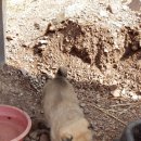 풍산농장 이미지