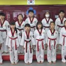 용인대삼성태권도 이미지