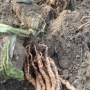 대근농장 이미지