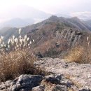 삼성천막사
