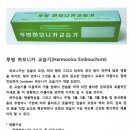 하모니카A반 이미지