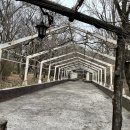 삼풍베이커리 이미지