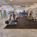 더 피티 이미지