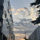 비타민천국 - 원주시 단관공원길 4 | 수원역 고등동 신규 헬스장 비타민 휘트니스 따끈 후기