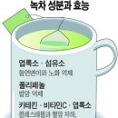 보성녹차테크