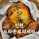 브라운로티세리 이미지