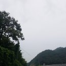 새라 이미지