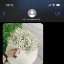 얀별은하수