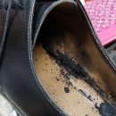 제일수선세탁 이미지