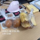 행정용 43번 | 3월 30일 - 4월 5일 일상