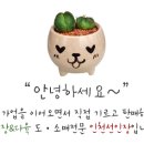 강수농장 이미지