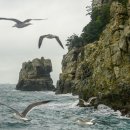 거제, 해금강 유람선 타고 한바퀴 이미지