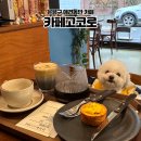 갈현1동주민센터 | 연신내 애견동반 카페ㅣ은평구 상위 1% 커피와 수제 디저트 맛집 "카페고코로" 후기