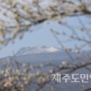 남원읍-17 이미지