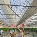 화신농장 이미지