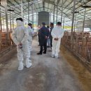 진안홍삼한우협동조합 이미지