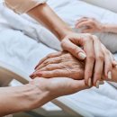 반야월로 이미지